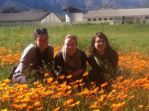 Jackie, Emma and Wendy in field of flowers at "De Doorns"