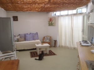 Living area at No. 8 Riverside Road - yes, that's Mittens.